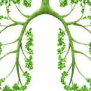 경희인한의원 이미지