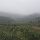 연태농장 이미지