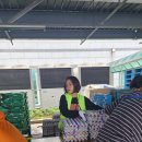 (주)함초롱