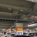 가락가락 이미지