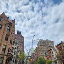 뉴욕 가볼만한 곳 플리마켓 Grand Bazaar NYC 뉴욕서점