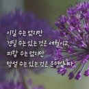 ☆ 경이로운 노인(老人) 세대 🍒 이미지