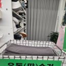 리얼복싱짐 이미지