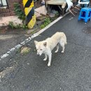 유건모밀 | 광주 송정역 맛집 깔끔한 맛이 매력적인 유건모밀