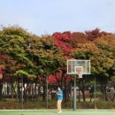 공릉동근린공원 이미지