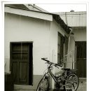 비오는날의추억 이미지