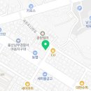 현대그린존방역 울산본사 | 울산방역업체 현대그린존방역 울산본사 후기, 자취방 벌레 문제 현실적으로 해결한 후기