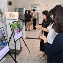 시청 제1별관7 이미지