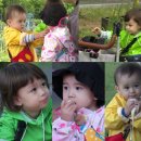 다인 앞 이미지