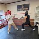 골든보이복싱짐 이미지