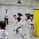 타이거즈태권도 이미지