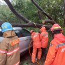 서상동경로당 이미지