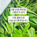 온직다원 이미지