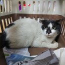 광산구-119 이미지