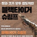 블랙타이거