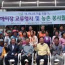 청산도의미래 이미지