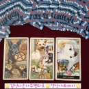 와이즈펫 - 춘천시 춘천로296번길 48 | [와이즈독] 펫타로 강아지 사후세계 심리 교감 상담🌟후기 있어요🌟