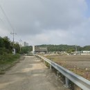 대부해솔길 3코스 | 대부도 여행코스 추천 대부해솔길 3코스