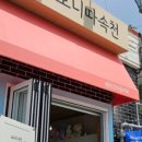 보니따속천