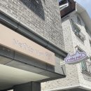 1684 | 유성 원신흥동네일 샵 추천! 내꼬네일에서 블러셔 네일 받고 온 후기