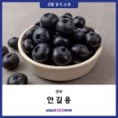 안길용 | [경기도 농어업소득 333 프로젝트 선발 농가 소개] 평택 안길용 농부