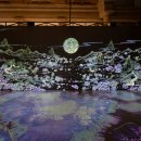 낙원약국 이미지