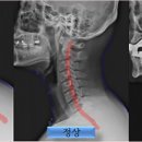 연세탄탄정형외과의원 이미지