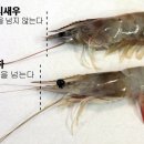 진성횟집 이미지