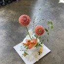 세라케이크seracake