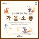 강아지소풍 이미지