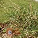 아양LH6단지 이미지