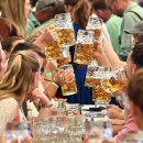 세계 최대 맥주축제 옥토버페스트(10월제) 이미지