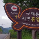커피양탕국