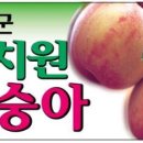 도고랜드