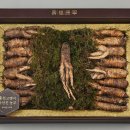 더덕이네