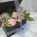 사파동358 이미지