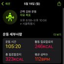 마이캘리