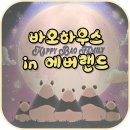에버랜드 판다가족 스토리가 담긴 바오하우스, 판다 굿즈샵 방문 후기