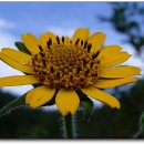 이성규농장 이미지