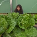 성북초등학교병설유치원 이미지