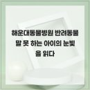 힐 동물병원 | 해운대동물병원 반려동물 말 못 하는 아이의 눈빛을 읽다