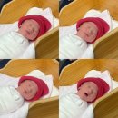 동서대로 | 안녕 나 말랑이!