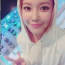 써니컵케익