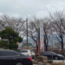 유로메디케어 네이버블로그