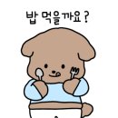 능이칼국수 이미지