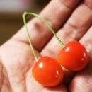 소포마을도로 이미지