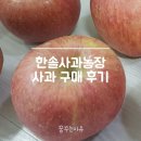한솔농장 | 한솔 사과농장 사과 구매 후기