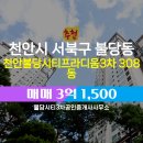 불당시티프라디움3차공인중개사사무소 | 불당동 오피스텔 천안불당시티프라디움3차 불당시티3차공인중개사사무소 추천매물