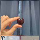 873기 3대대 040130 이동욱 이미지