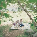 우리의 봄날 이미지